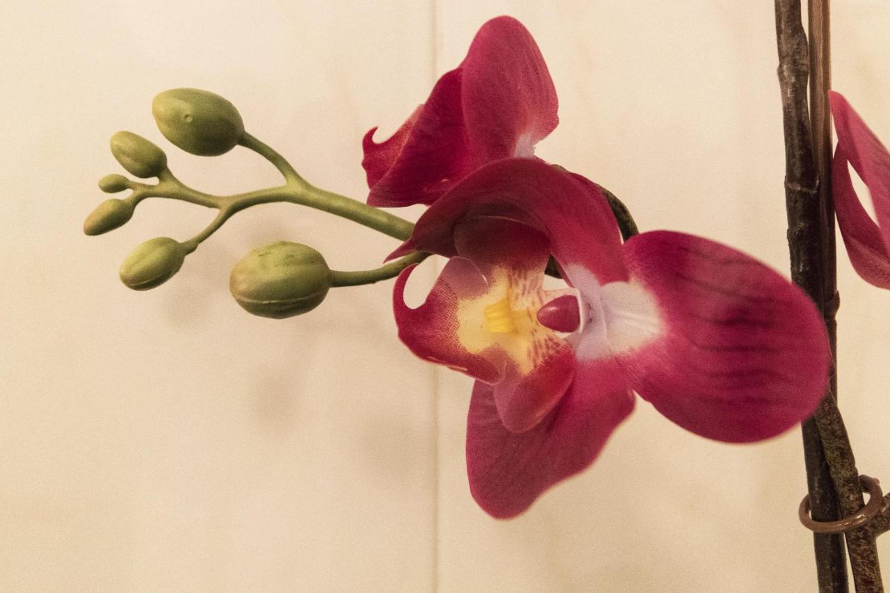 Two-Bedroom Apartment Rise And Shine Acquaseria エクステリア 写真